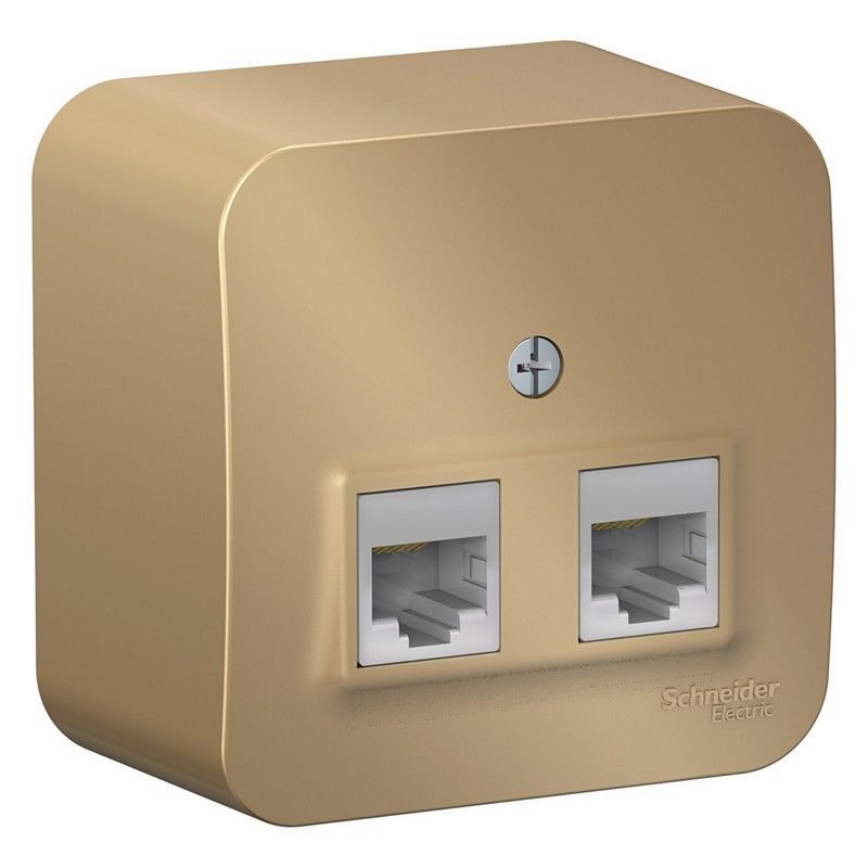 Blanca титан розетки и выключатели Розетка SE Blanca 2-ая Титан наружный компьютерная RJ45 кат.5E изол. пластина BLNIA045454