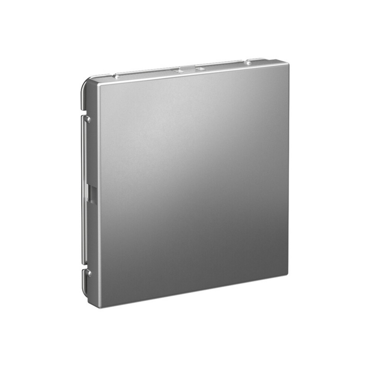 ArtGallery Сталь Заглушка Systeme Electric ArtGallery Сталь без суппорта для многопостовых рамок GAL000909