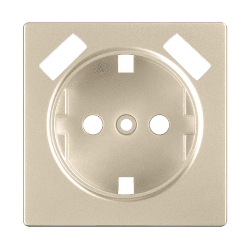 Werkel Шампань механизмы Накладка Werkel для USB розетки (шампань) W1179511