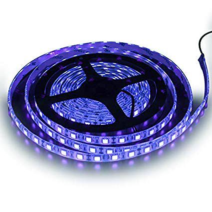 Диодная лента Светодиодная лента синяя 