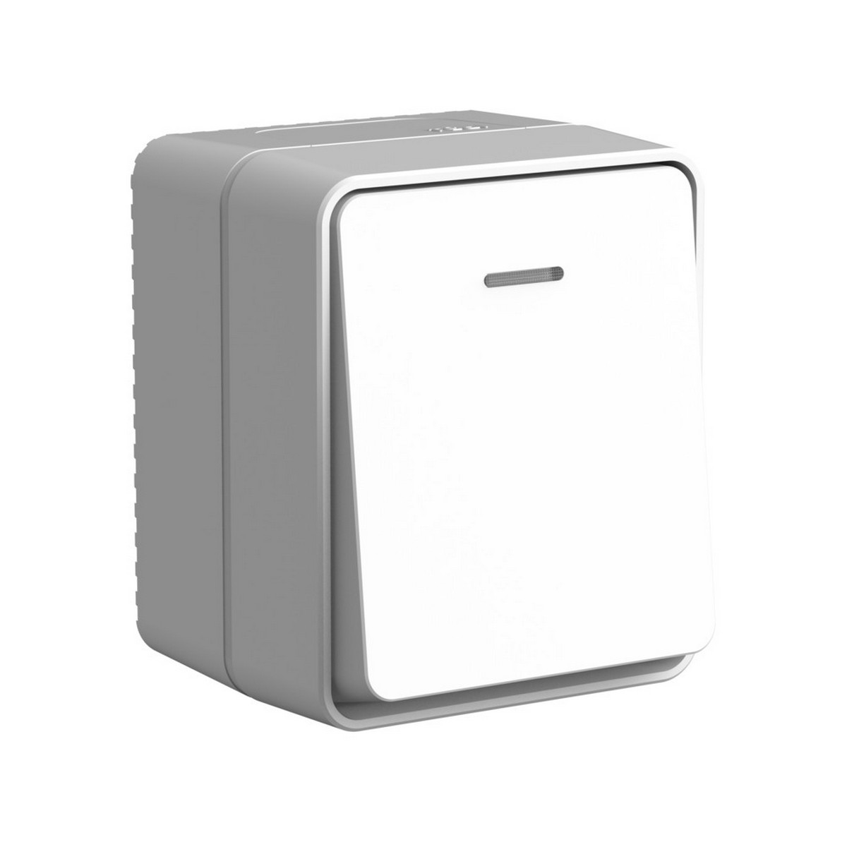 Выключатель Systeme Electric AtlasDesign Profi54 Наруж Серый 1-клавишный с подсветкой 10 АХ ATN543013