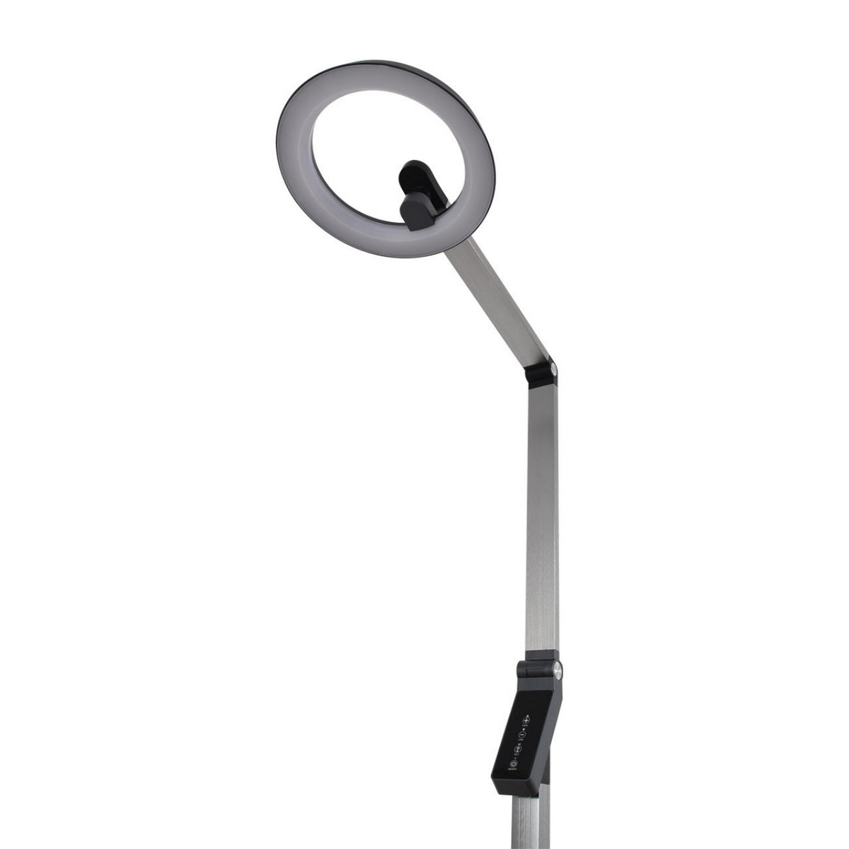 Торшеры Торшер LUMION 8332/15FL GENRI 