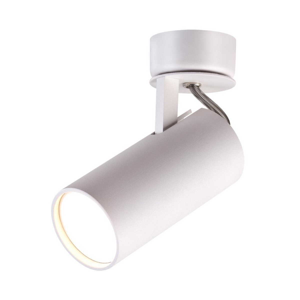 Светильник потолочный ODEON LIGHT 3873/1C KIKO