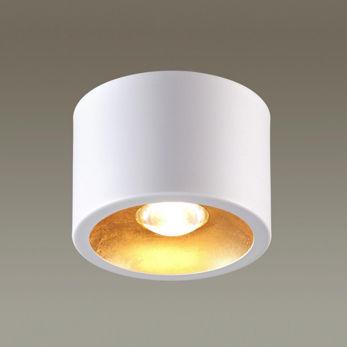 Накладные светодиодные светильники Потолочный накладной светильник ODEON LIGHT 6668/1CL GLASGOW 