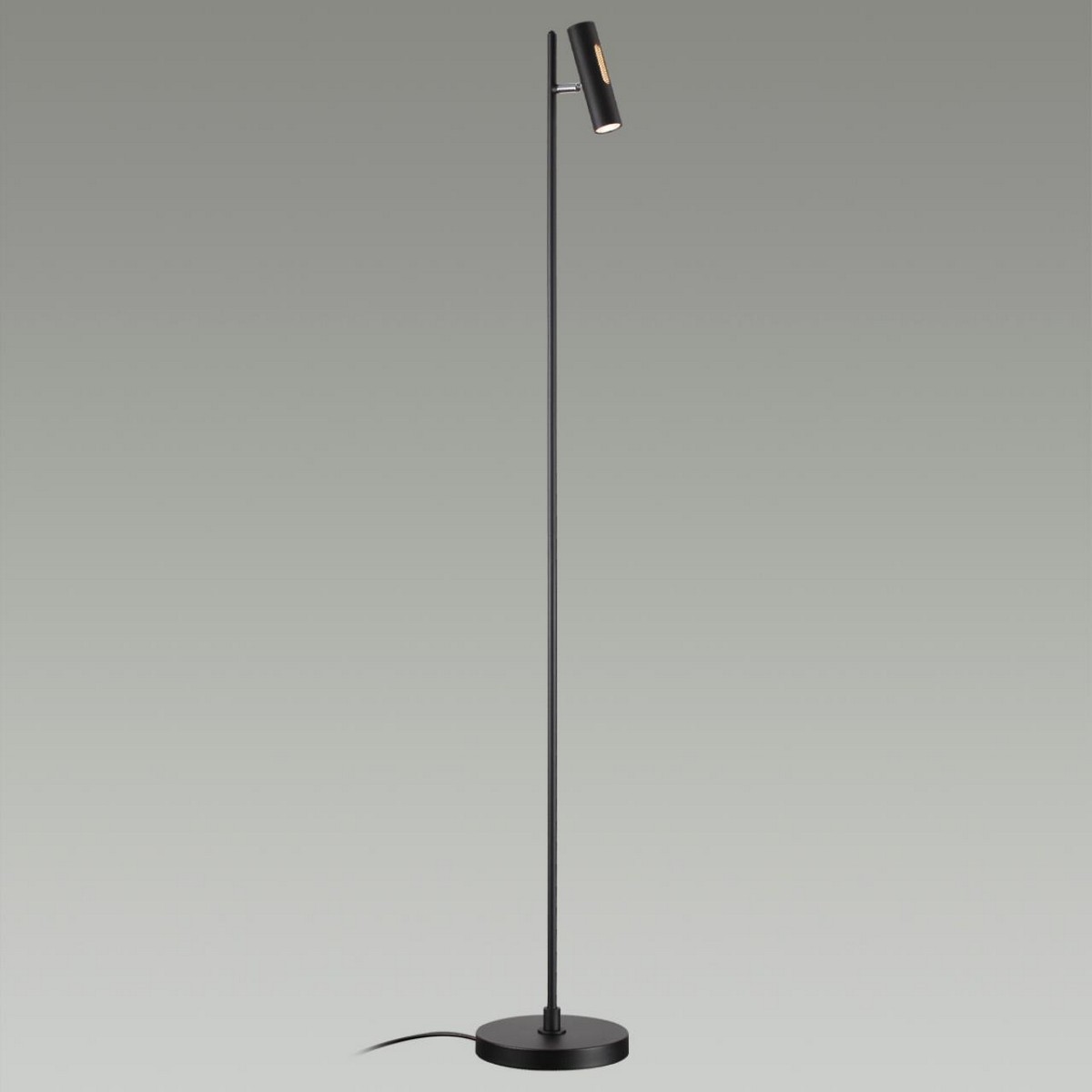 Напольный светильник ODEON LIGHT 6643/5FL MALI