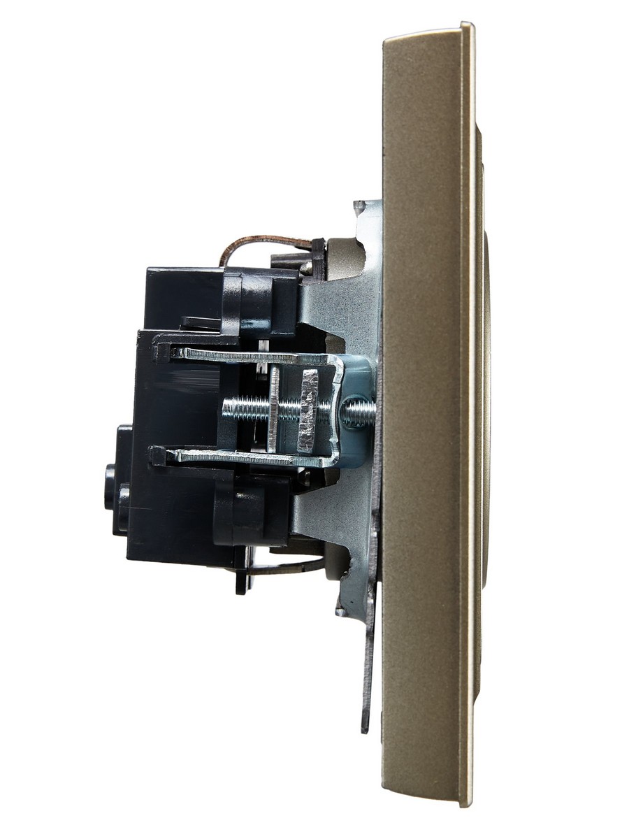 IEK Brite Шампань Розетка IEK BRITE Шампань б/з без защ.шт. з/к/ш 10А в сборе РСР10-1-0-БрШ BR-R10-10-K37-F