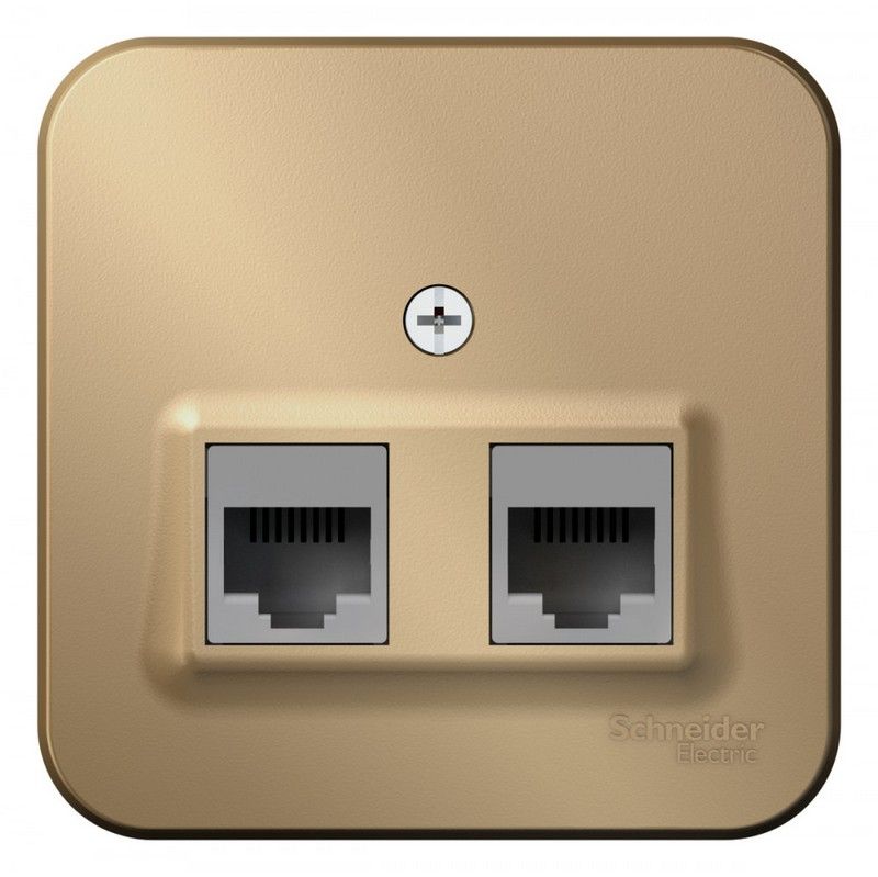 Blanca титан розетки и выключатели Розетка SE Blanca 2-ая Титан наружный компьютерная RJ45 кат.5E изол. пластина BLNIA045454