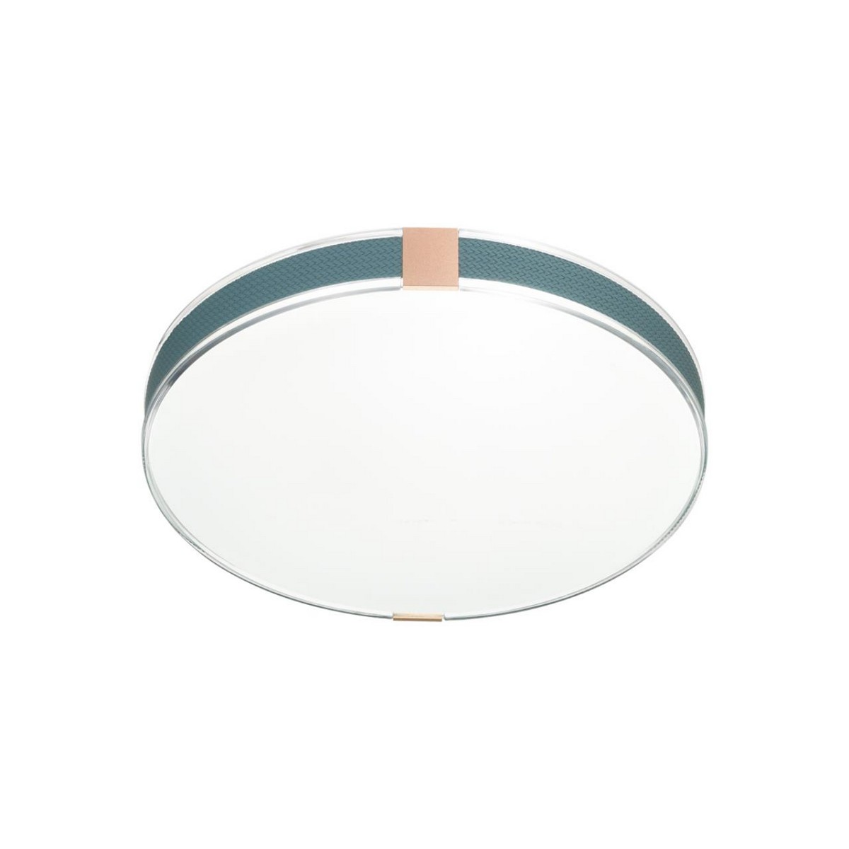 Накладные светодиодные светильники Настенно-потолочный светильник СОНЕКС 7677/DL OTIGA BLUE 