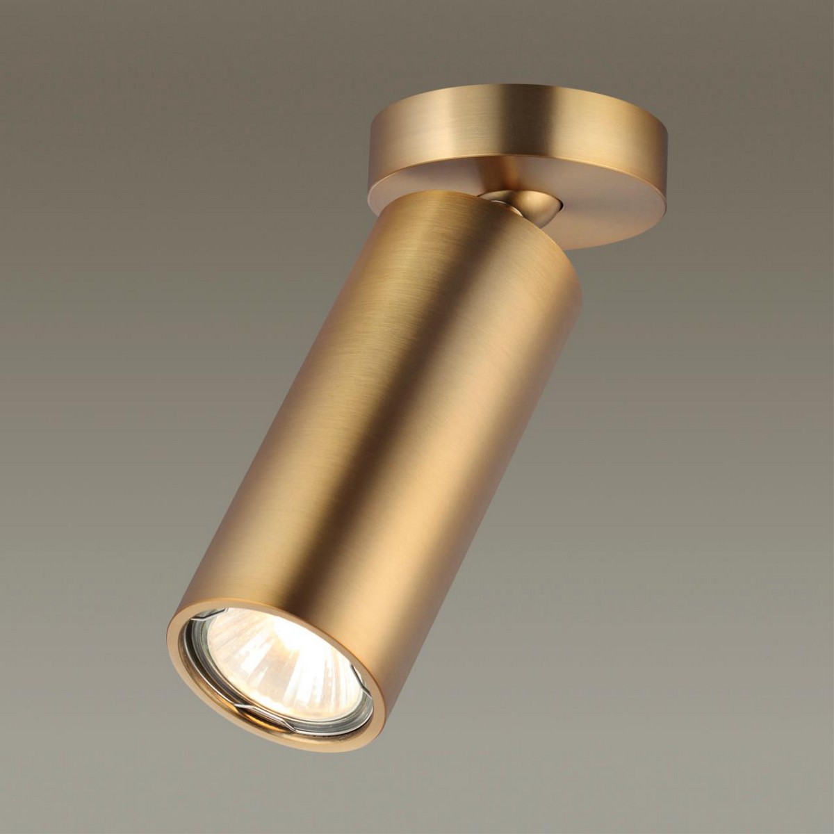 Потолочный накладной светильник ODEON LIGHT 4279/1C NINO