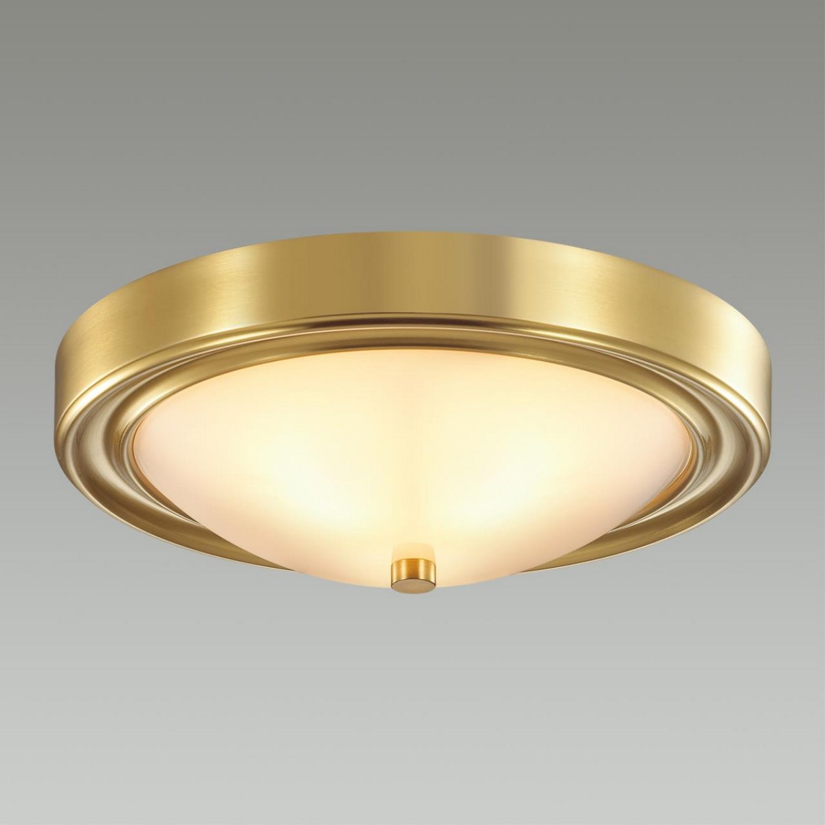 Настенно-потолочный светильник LUMION 5259/2C NINA