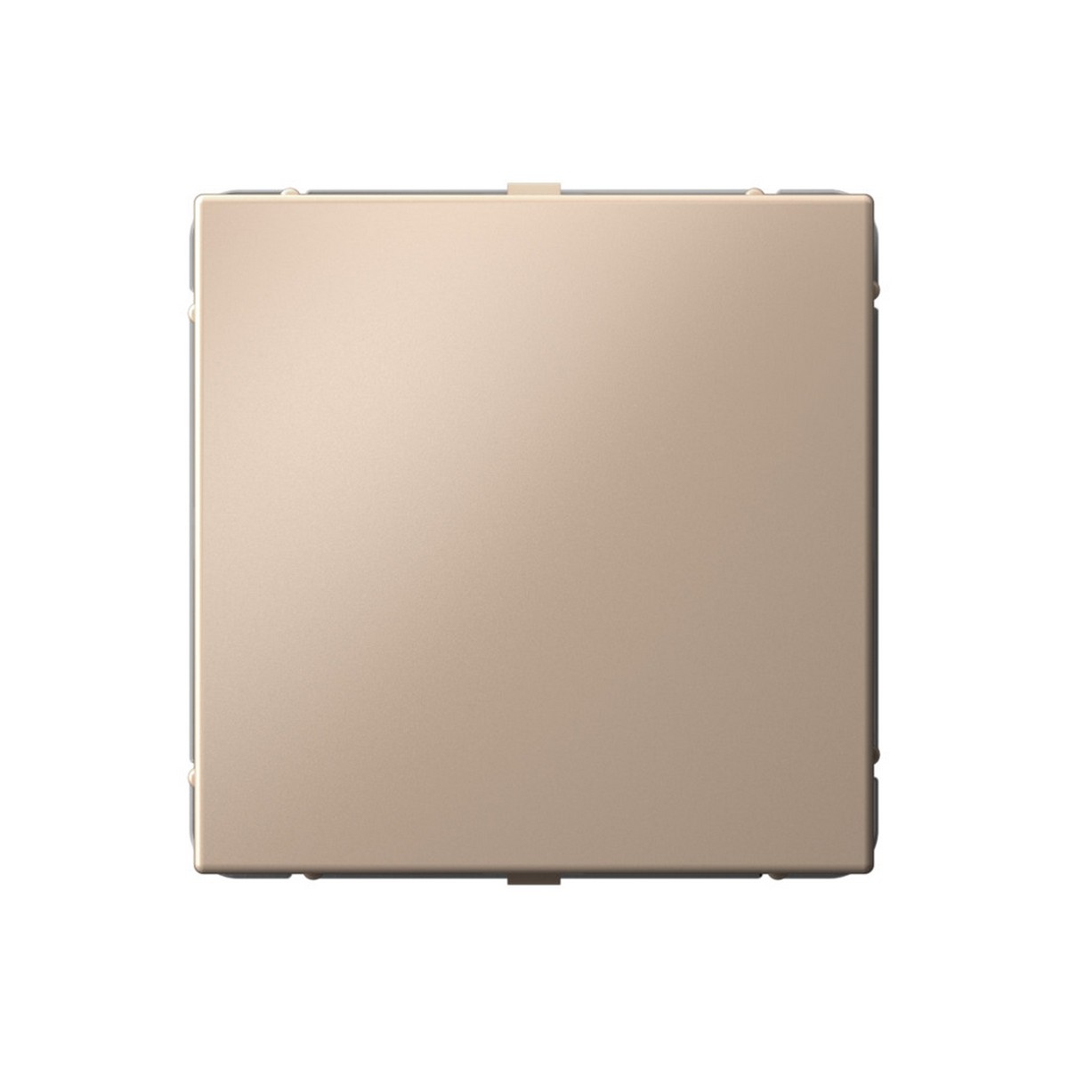 ArtGallery Песочный Заглушка Systeme Electric ArtGallery Песочный без суппорта для многопостовых рамок GAL001209