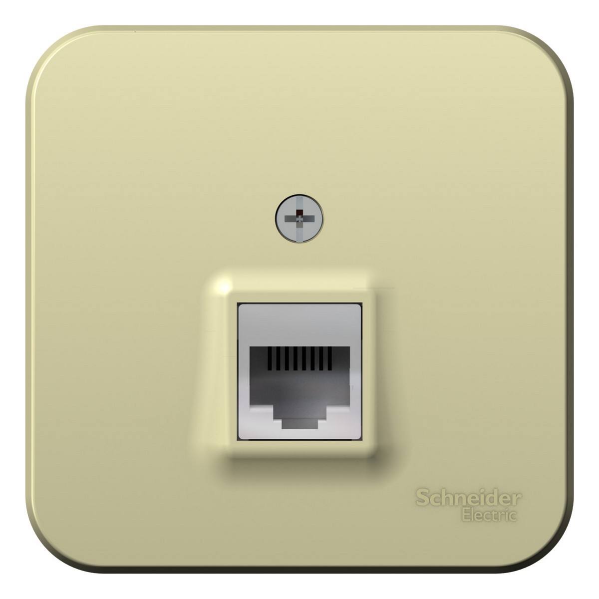 Blanca бежевые розетки и выключатели Розетка SE Blanca компьютерная Бежевый наружный RJ45 кат.5E изолир. пластина BLNIA045007