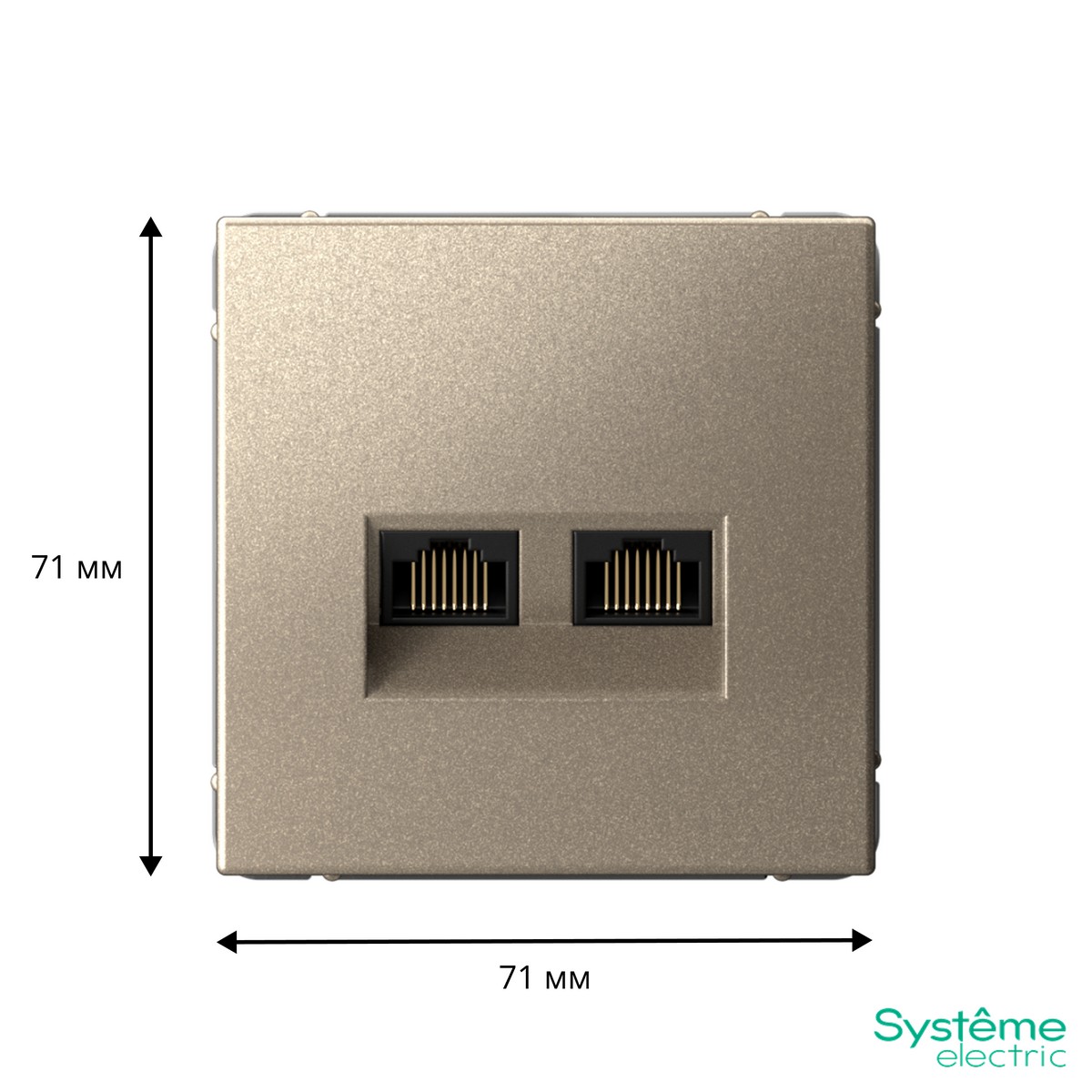ArtGallery Шампань Розетка Systeme Electric ArtGallery Шампань двойная компьютерная RJ45+RJ45 кат.6А GAL000588