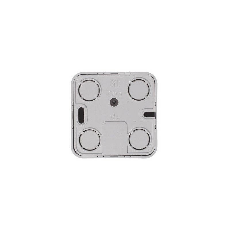 Blanca белые розетки и выключатели Розетка SE Blanca ТЛФ Белый наружный RJ11 изолир. пластина BLNIA011001