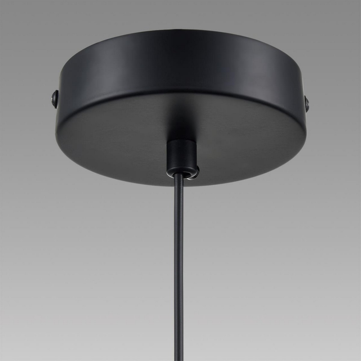 Подвесные светодиодные светильники Подвес LUMION 8101/1A ISHA 