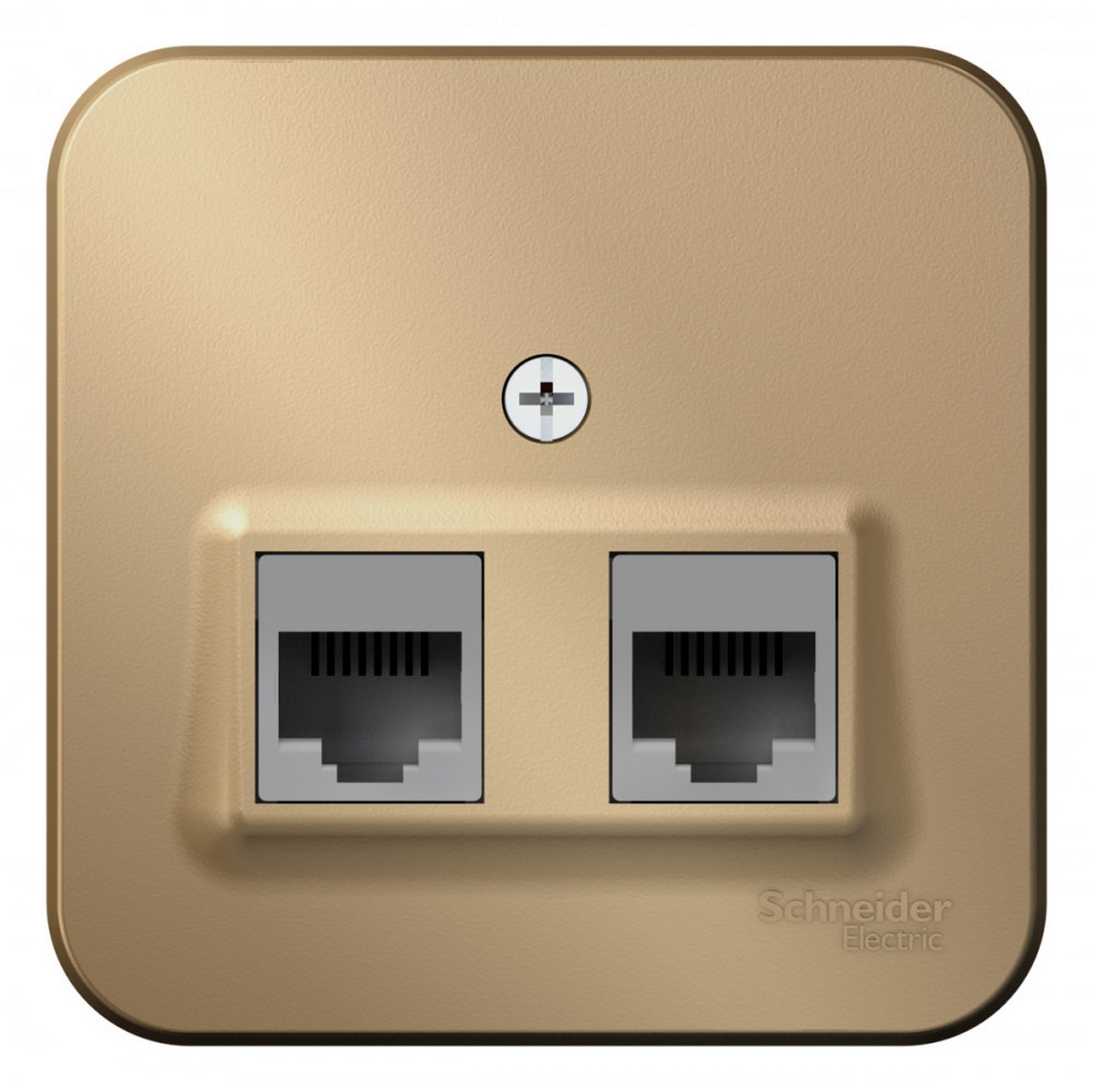 Blanca титан розетки и выключатели Розетка SE Blanca 2-ая Титан наружный компьютерная RJ45 кат.5E изол. пластина BLNIA045454