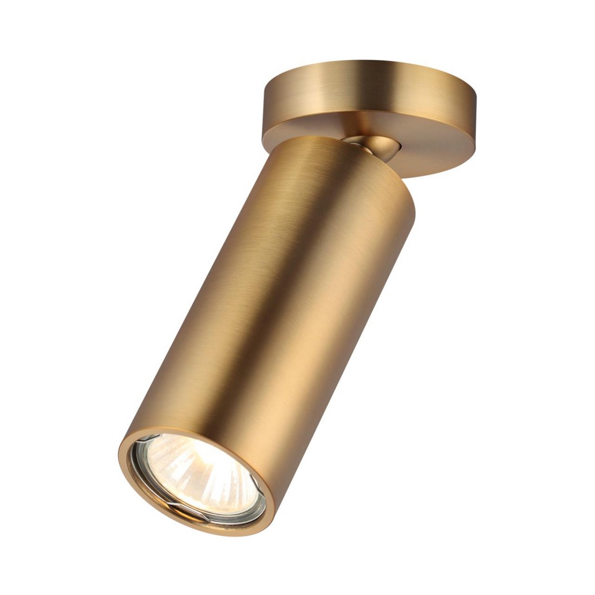 Потолочный накладной светильник ODEON LIGHT 4279/1C NINO
