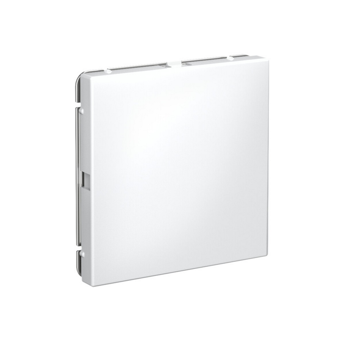 ArtGallery Лотос Заглушка Systeme Electric ArtGallery Лотос без суппорта для многопостовых рамок GAL001309