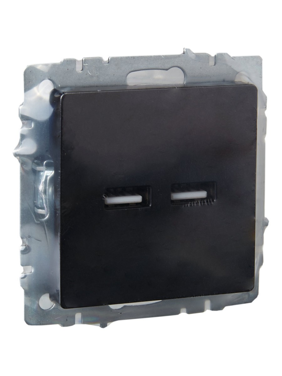 IEK Brite Черный Розетка IEK BRITE USB A+A 3,1А РЮ10-1-БрЧ черный BR-U21-D31-K02