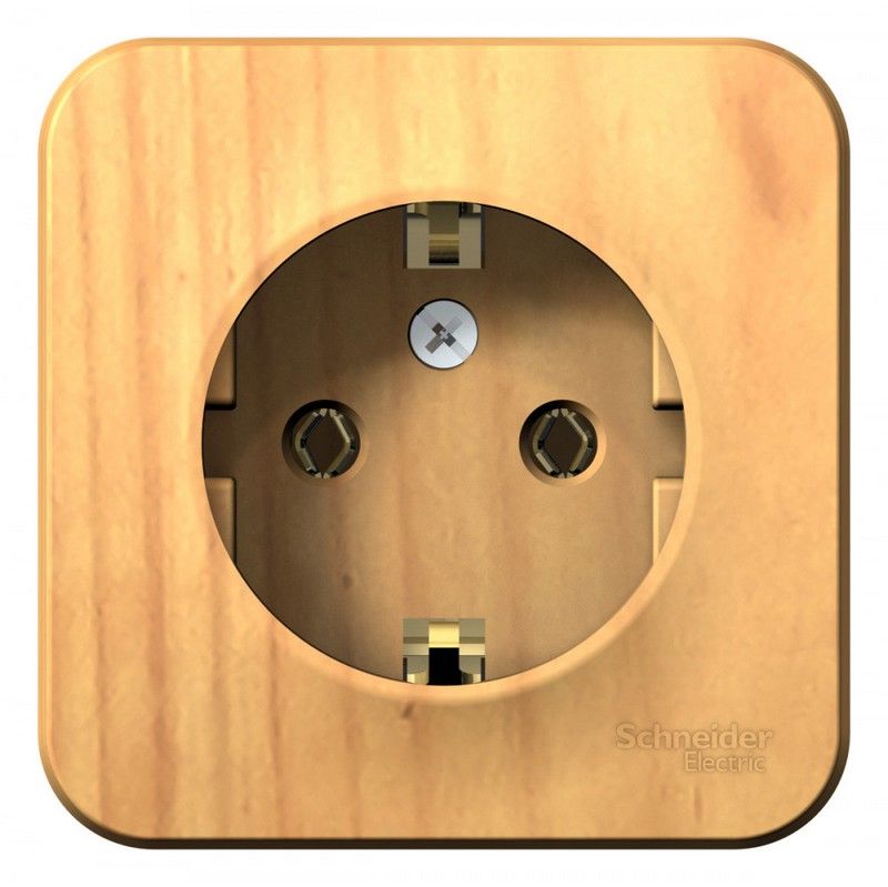 Blanca ясень розетки и выключатели Розетка SE Blanca с/з Ясень наружный без шторок изолир. пластина BLNRA010115