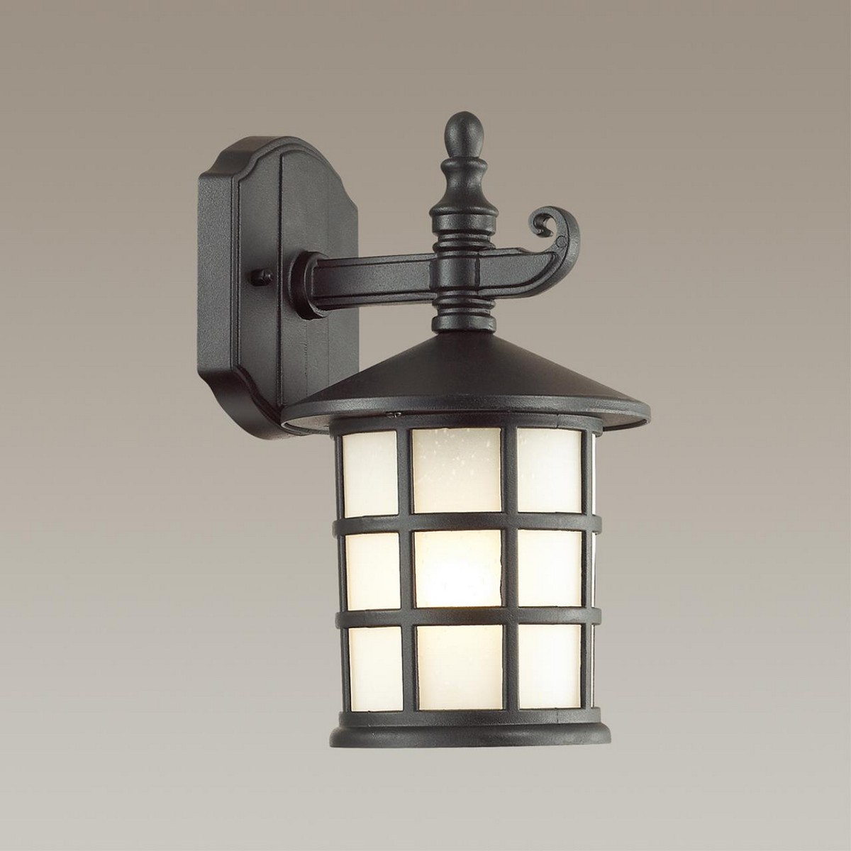 Уличный настенный светильник ODEON LIGHT 4042/1W HOUSE