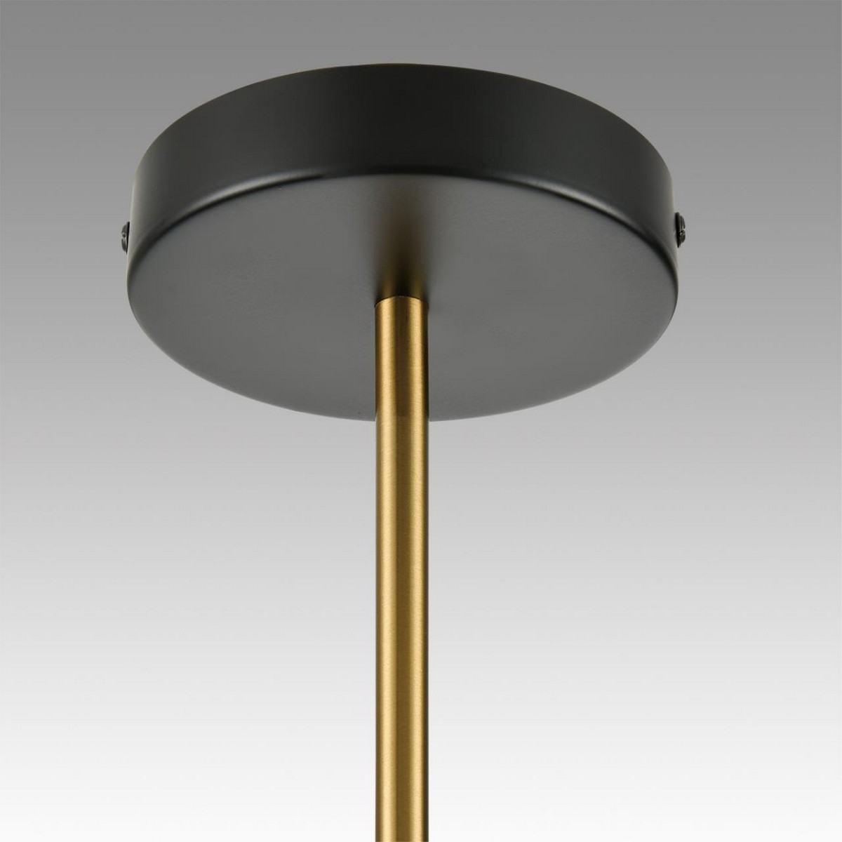 Люстры Люстра потолочная LUMION 8112/24 TAMARESA 