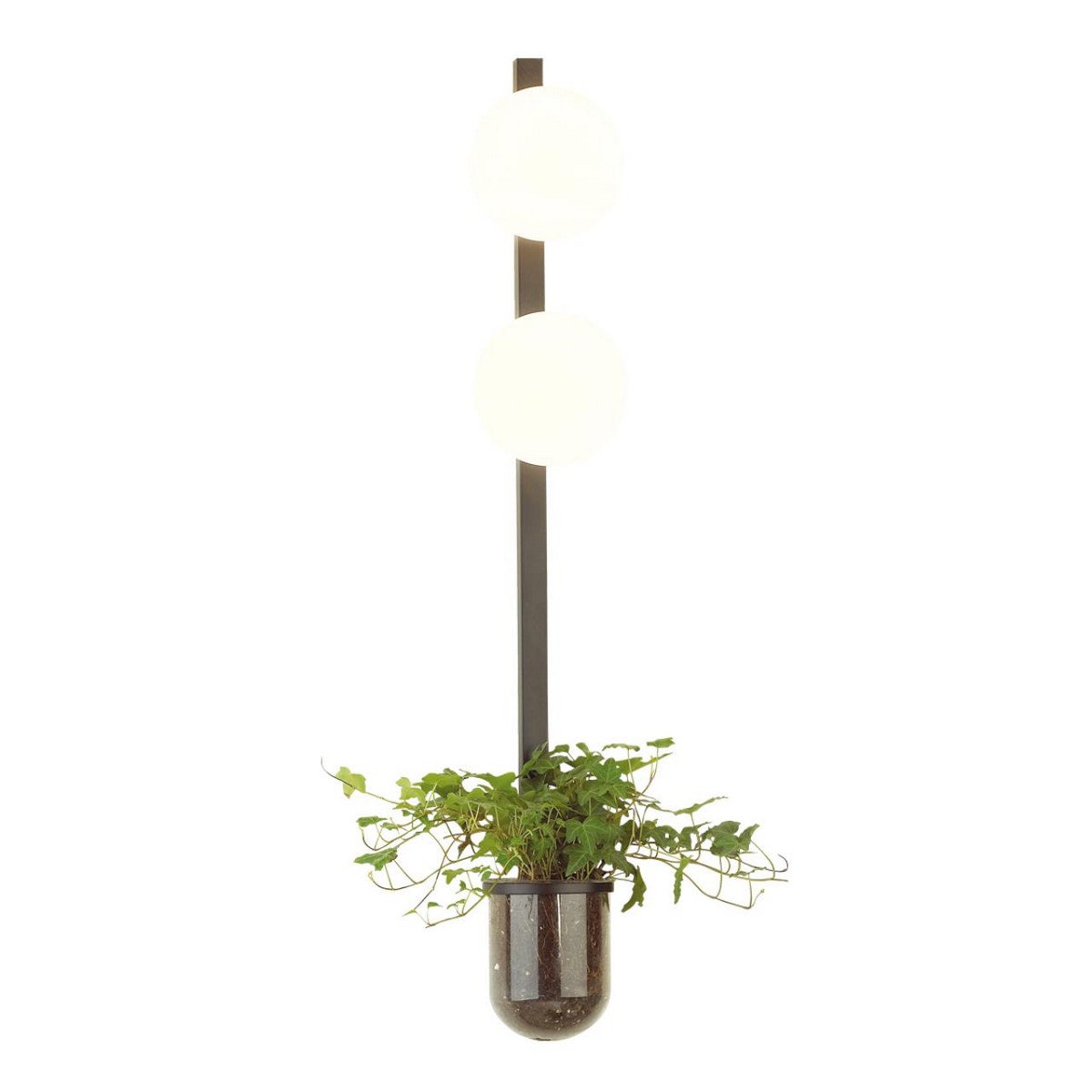 Настенный светильник ODEON LIGHT 4681/2WA FLOWER