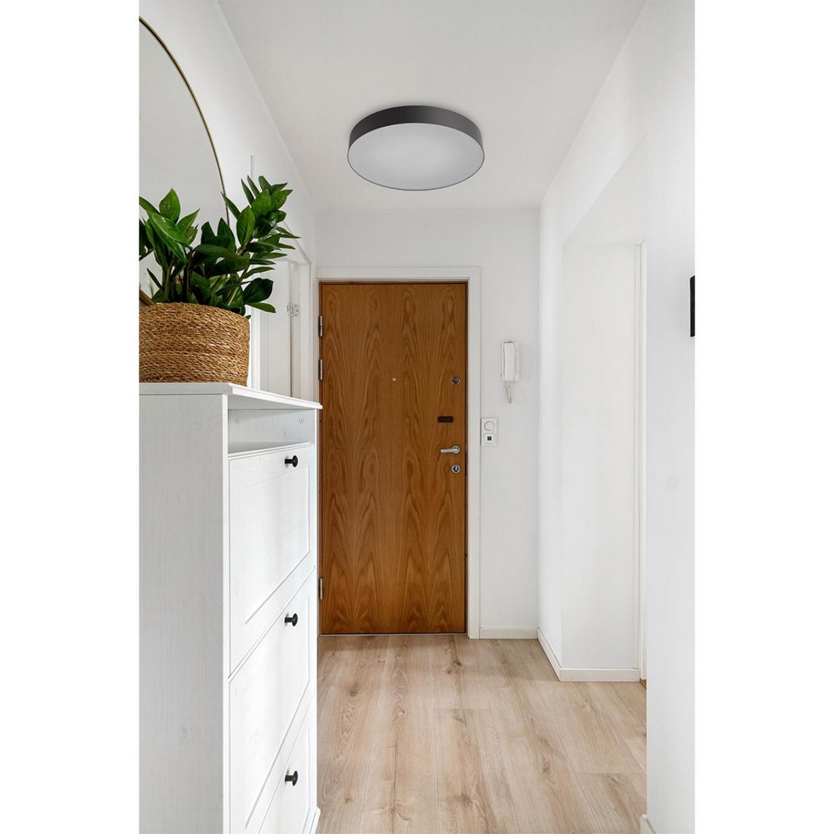 Накладные светодиодные светильники Настенно-потолочный светильник СОНЕКС 7780/ELN OPTIMA 