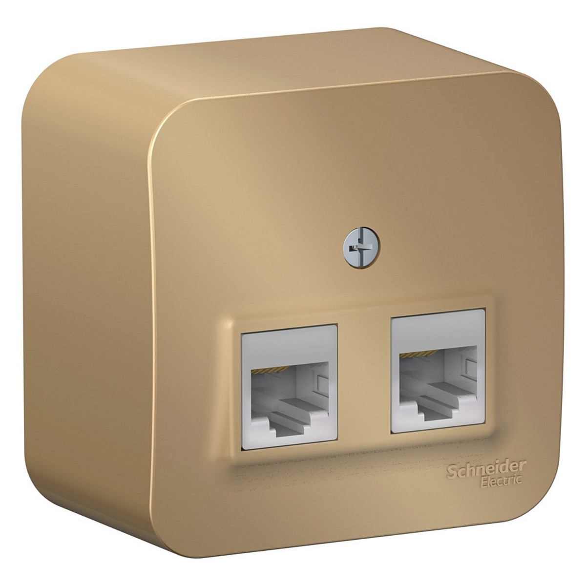 Blanca титан розетки и выключатели Розетка SE Blanca 2-ая Титан наружный компьютерная RJ45 кат.5E изол. пластина BLNIA045454