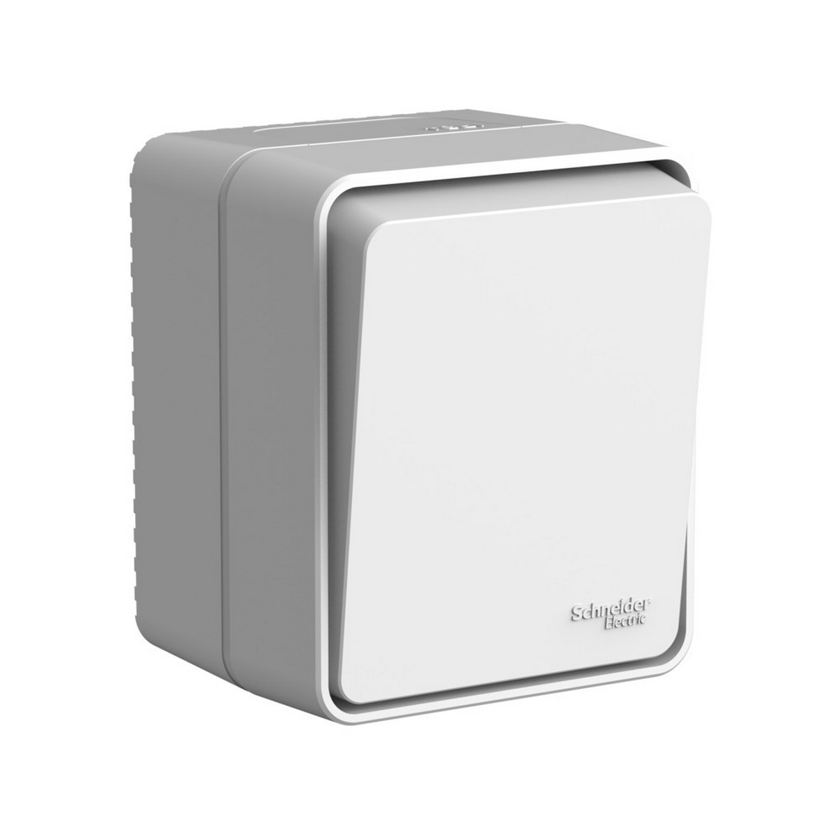 Выключатель Systeme Electric AtlasDesign Profi54 Наруж Серый 1-клавишный 10 АХ ATN543011