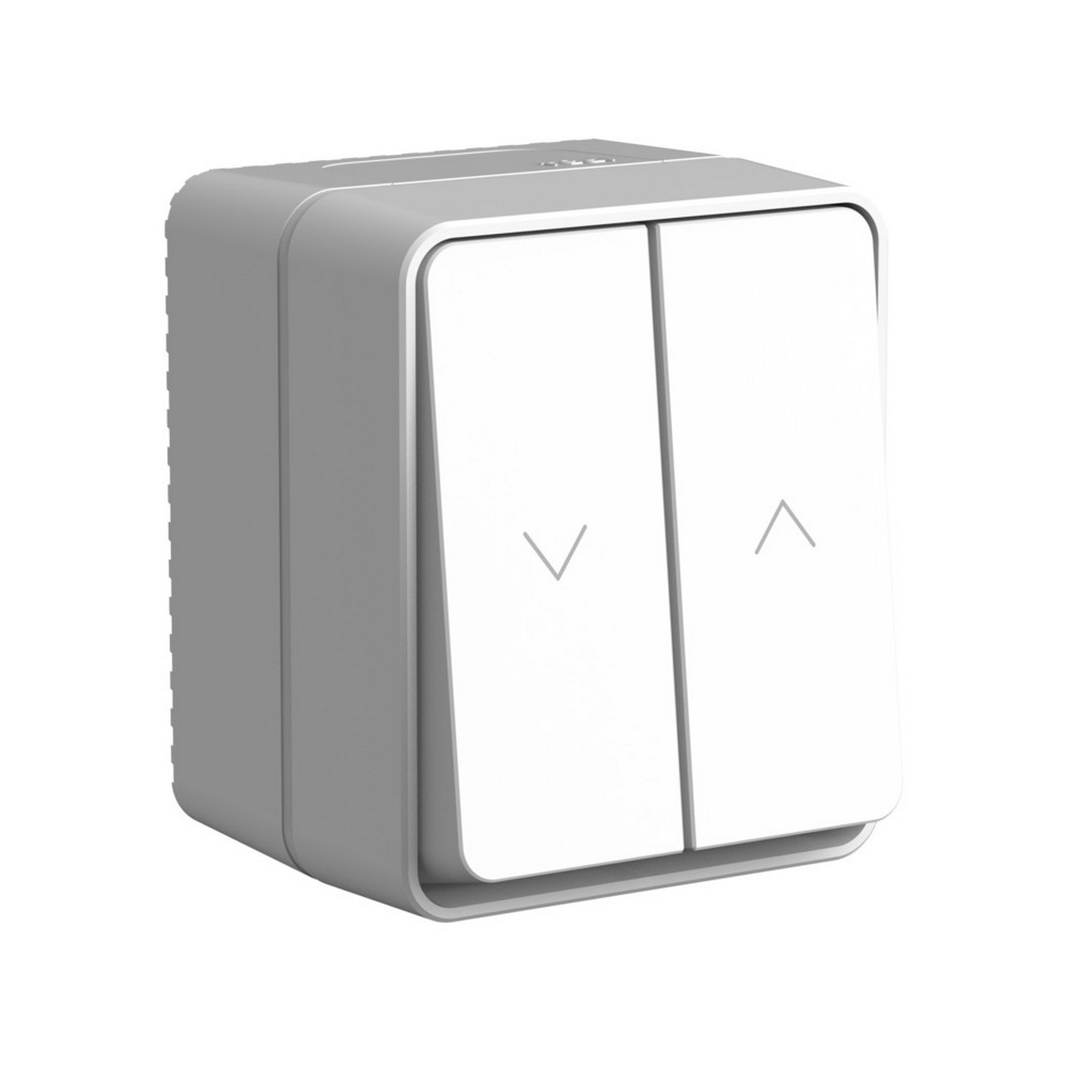 AtlasDesign Алюминий Выключатель Systeme Electric AtlasDesign Profi54 Наруж Серый 2-клавишный для жалюзи, 2хсх.4 ATN543019