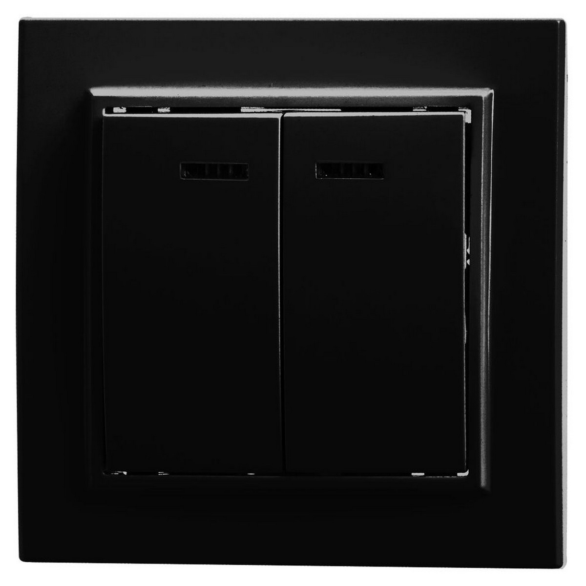 Выключатель 2-клавишный c индикатором STEKKER PSW10-9002-03 250V 10А Эрна черный с рамкой 39471