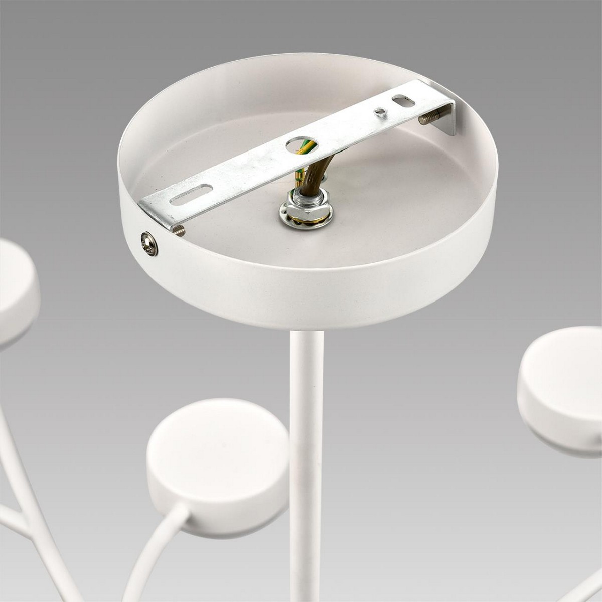 Люстры Люстра LUMION 8265/15 TORINA 