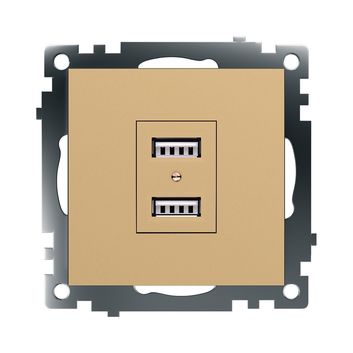 Розетка USB 2-местная STEKKER GLS10-7115-08 250B 21А Катрин золото 49229