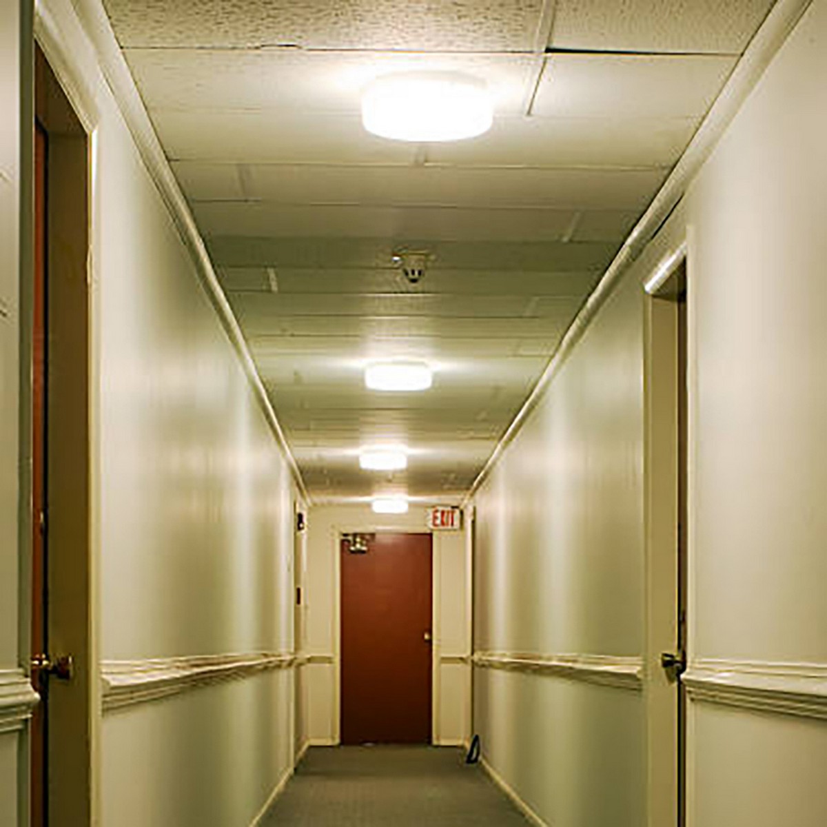 Светодиодные светильники ЖКХ Светильник светодиодный пылевлагозащищенный Feron серии TR Овал 12Вт 4000К призма IP53 51511 