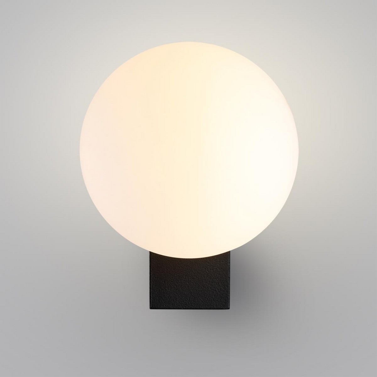 Настенный светильник ODEON LIGHT 7124/1W VIVA