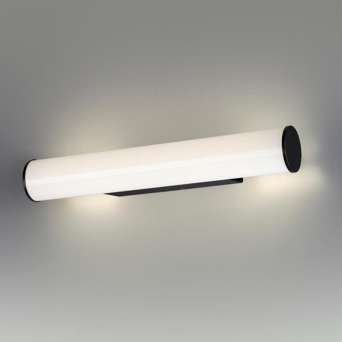 Накладные светодиодные светильники Настенный светильник ODEON LIGHT 6617/8WL ANTER 