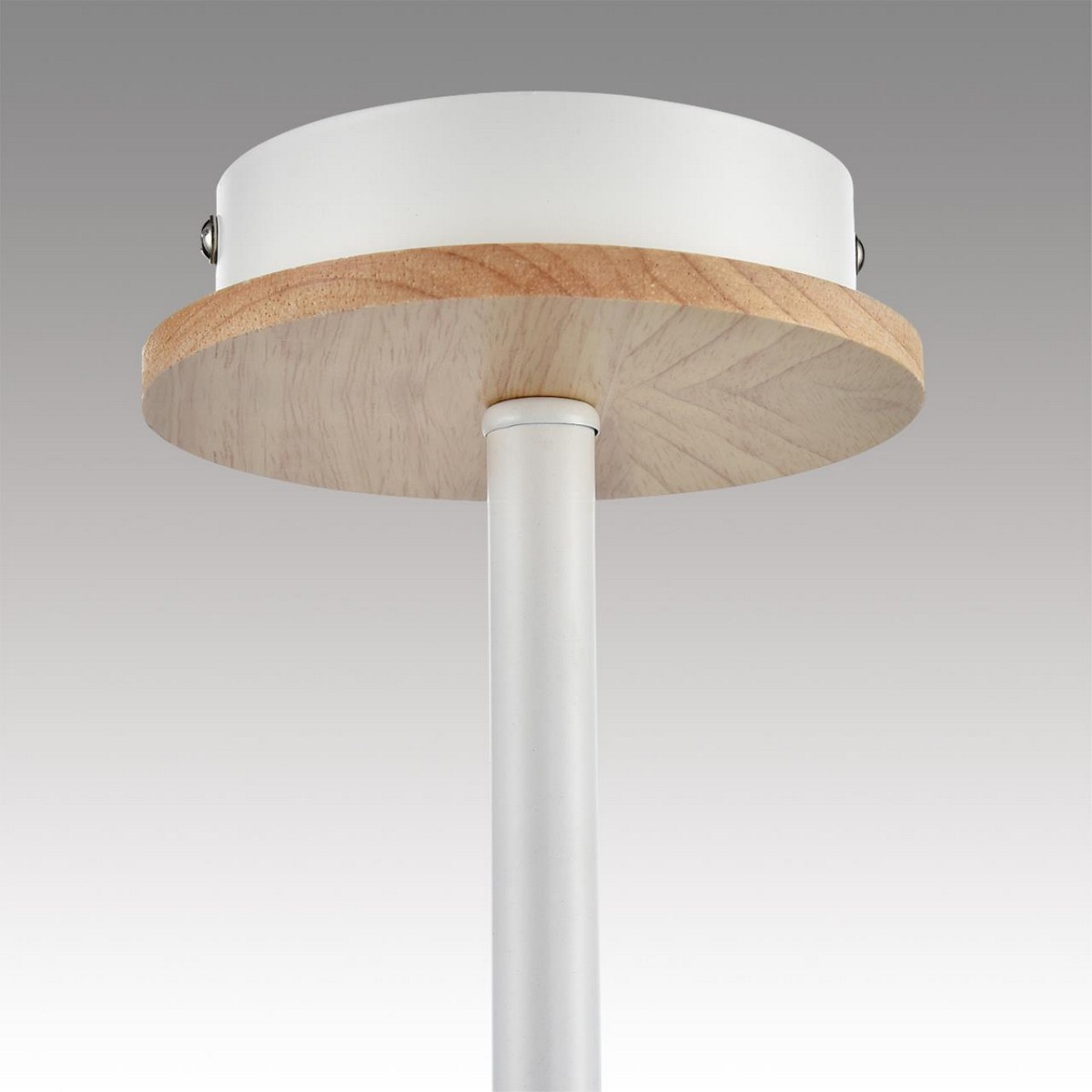Люстра потолочная LUMION 8246/5C IRMA