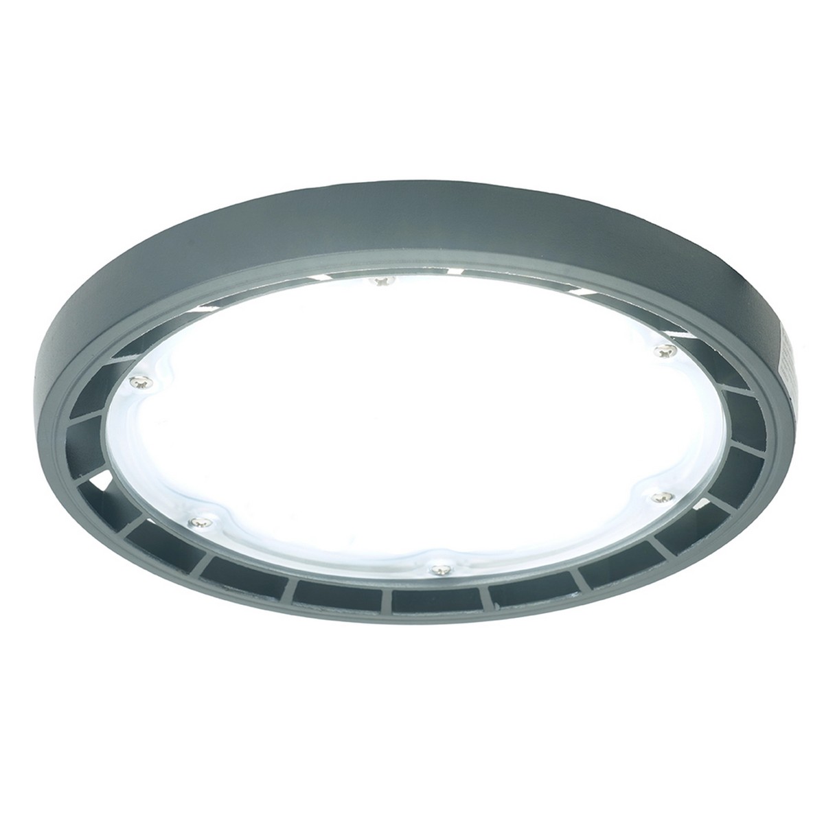 Светильник складской Feron AL1006 IP65 100W 120° 5000K 51622