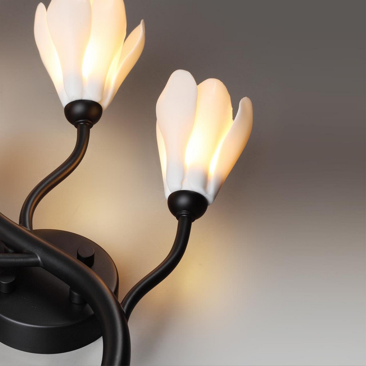 Бра Бра ODEON LIGHT 5090/5W GARDI G4 LED 