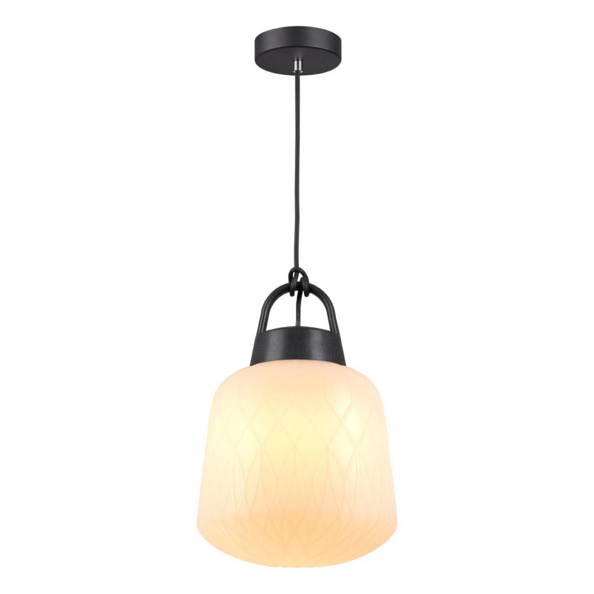 Уличные светильники на цепочке Ландшафтный подвес NOVOTECH 370601 CONTE 