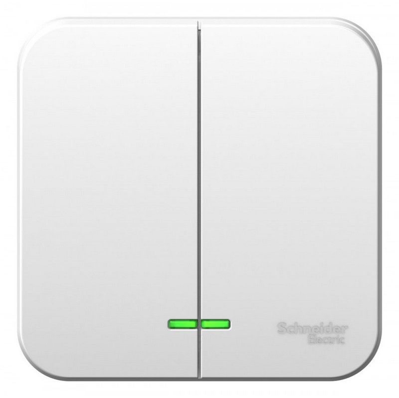 Blanca белые розетки и выключатели Выключатель SE Blanca 2-клавишный Белый наружный с подсветкой 6А изолир. пластина BLNVA065111