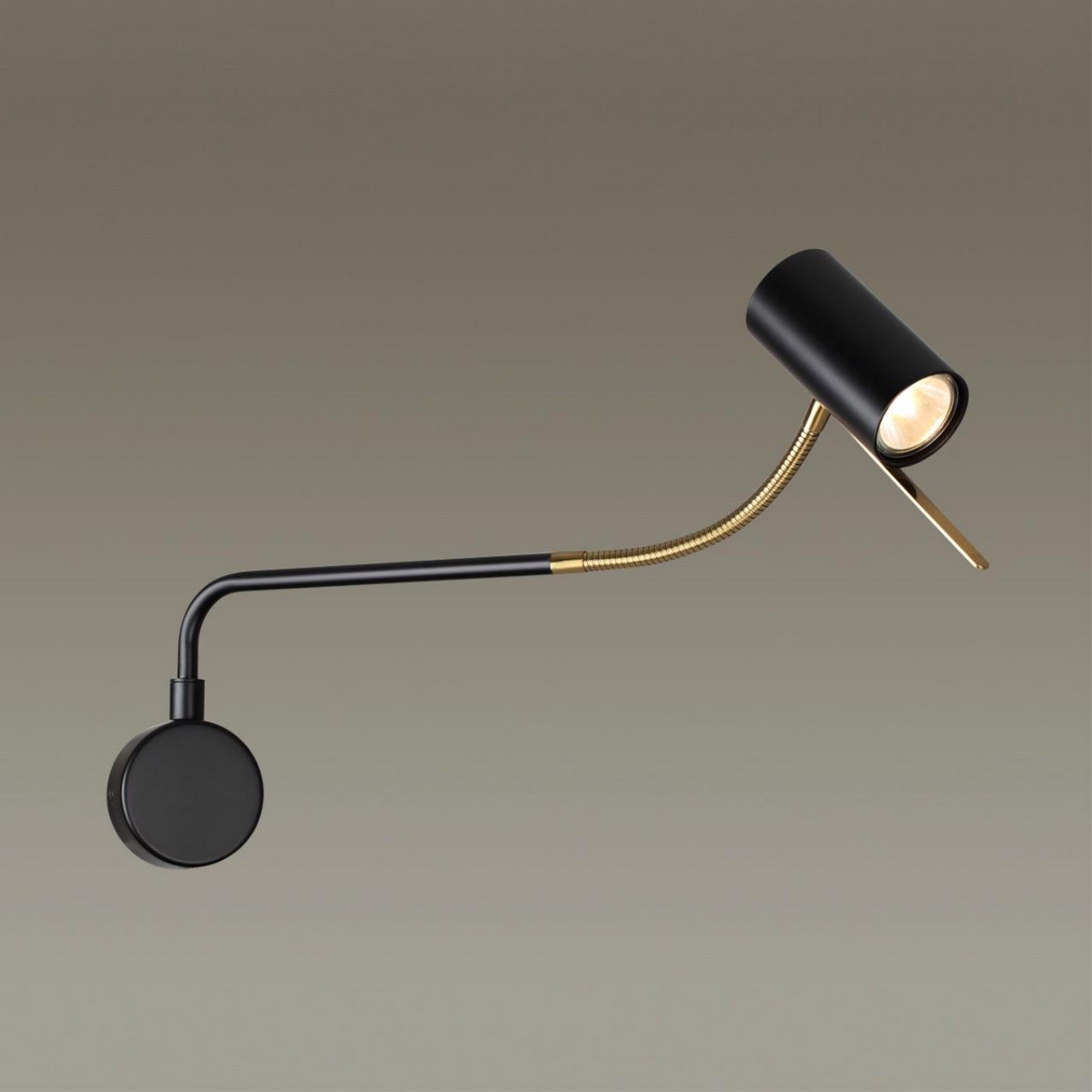 Настенный светильник ODEON LIGHT 4382/1W GIGI