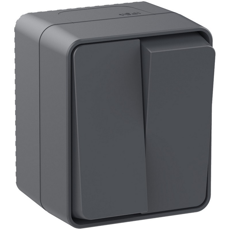 Выключатель 2-клавишный Systeme Electric AtlasDesign Profi54 наружный Антрацит ATN544051