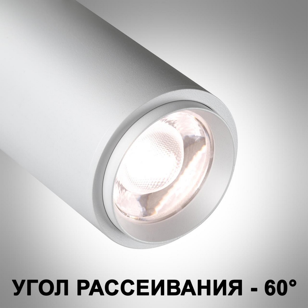 Трековый светильник для низковольтного шинопровода с переключателем цветовой температуры и мощности NOVOTECH 359206 FLUM