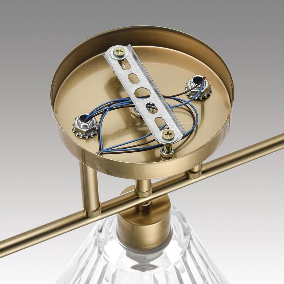 Люстры Потолочный светильник LUMION 8188/3C VIVIAN 