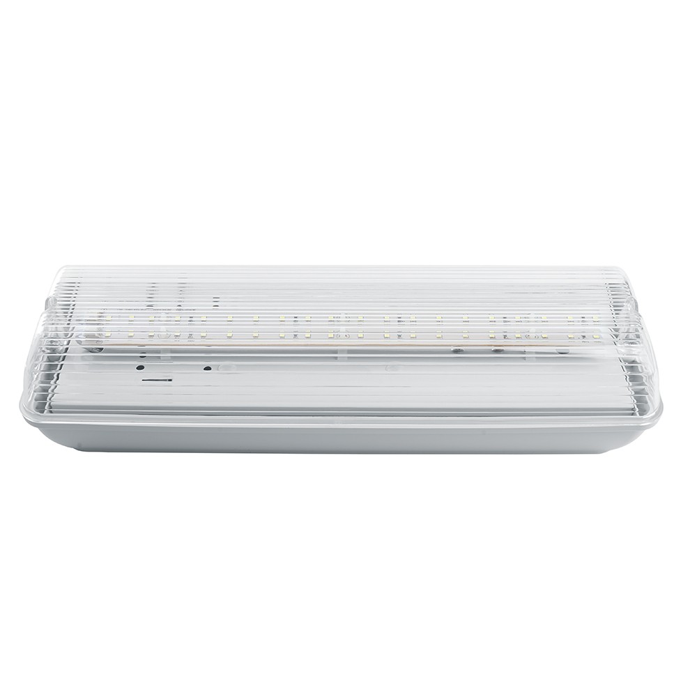 Светодиодные светильники ЖКХ Светильник аварийный Feron EM101 20 LED AC/DC белый 41536 