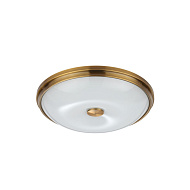 Настенно-потолочный светильник ODEON LIGHT 4956/4 PELOW